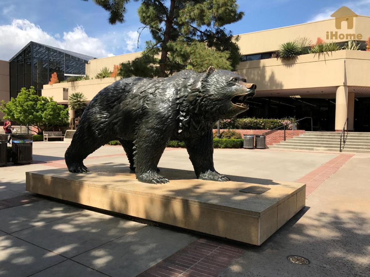 "Resort Style Amenities Walk To Ucla" W Pool & Parking B2 Los Angeles Esterno foto